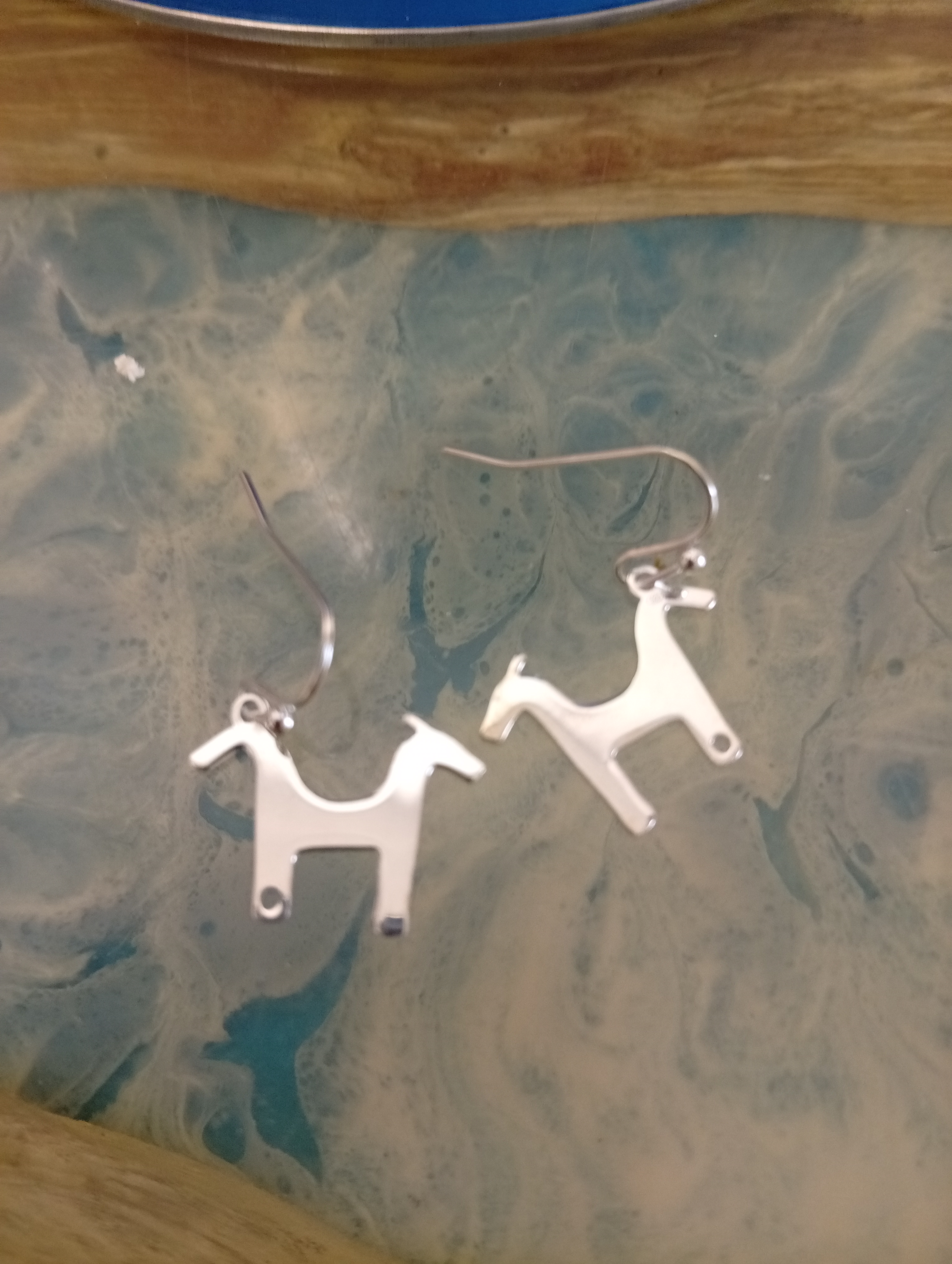 Fotografía de Pendientes en plata con fíbula