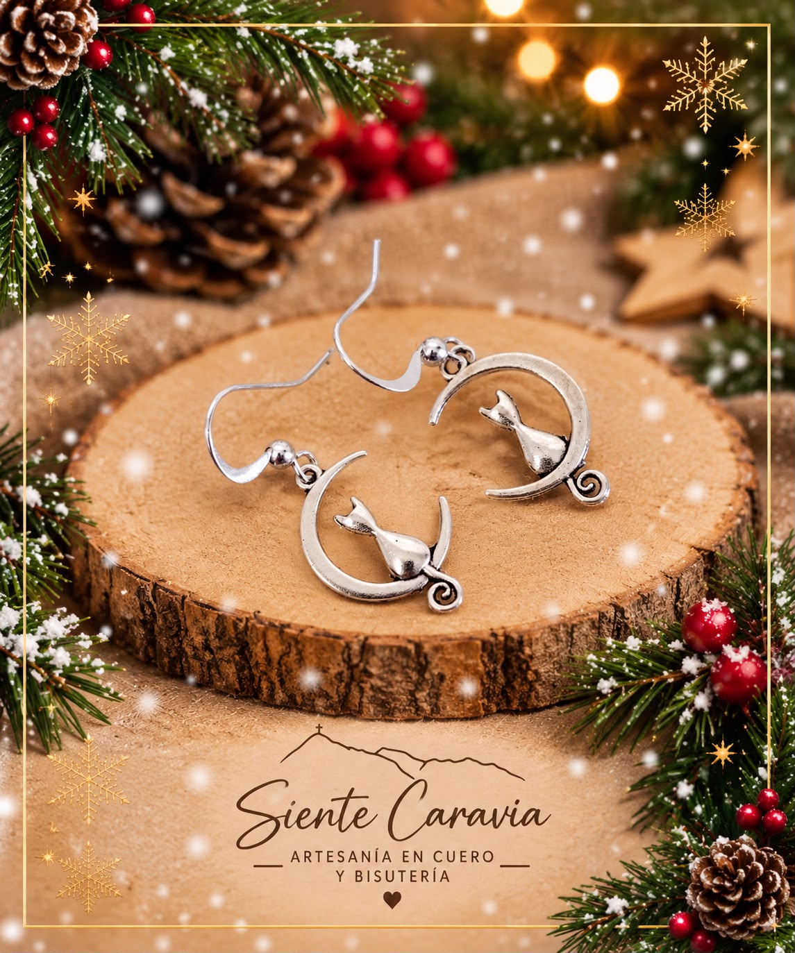 Imagen 2 de 11: Campaña de Navidad