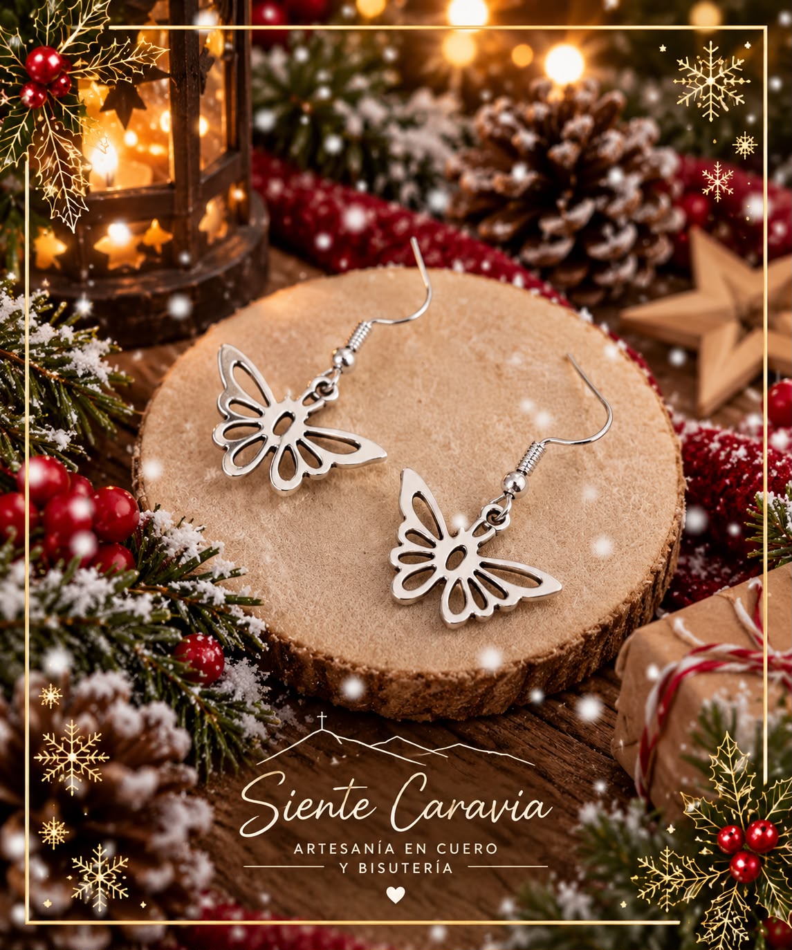 Imagen 4 de 11: Campaña de Navidad