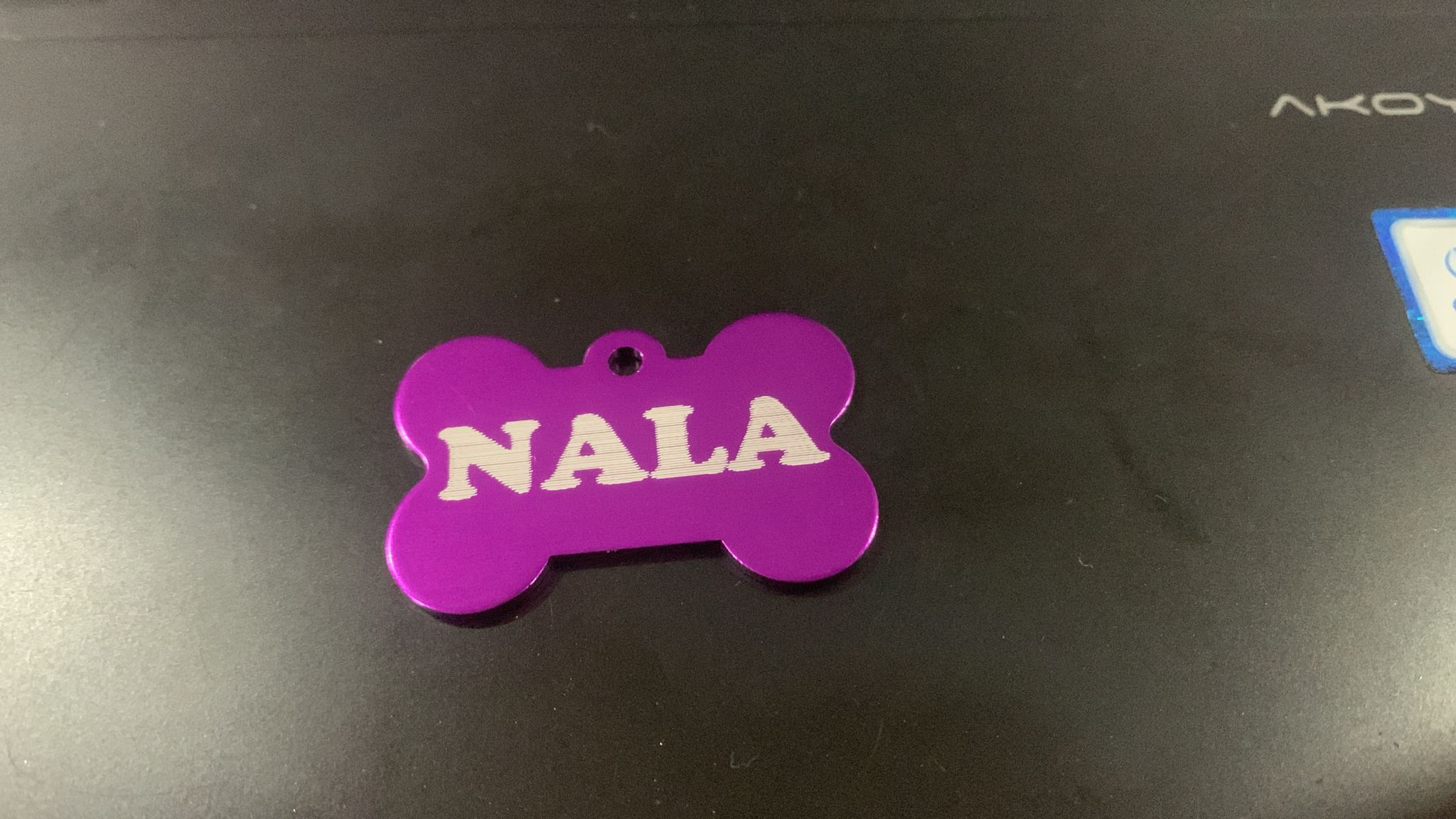 Imagen 2 de 3: Chapa identificativa para tu mascota