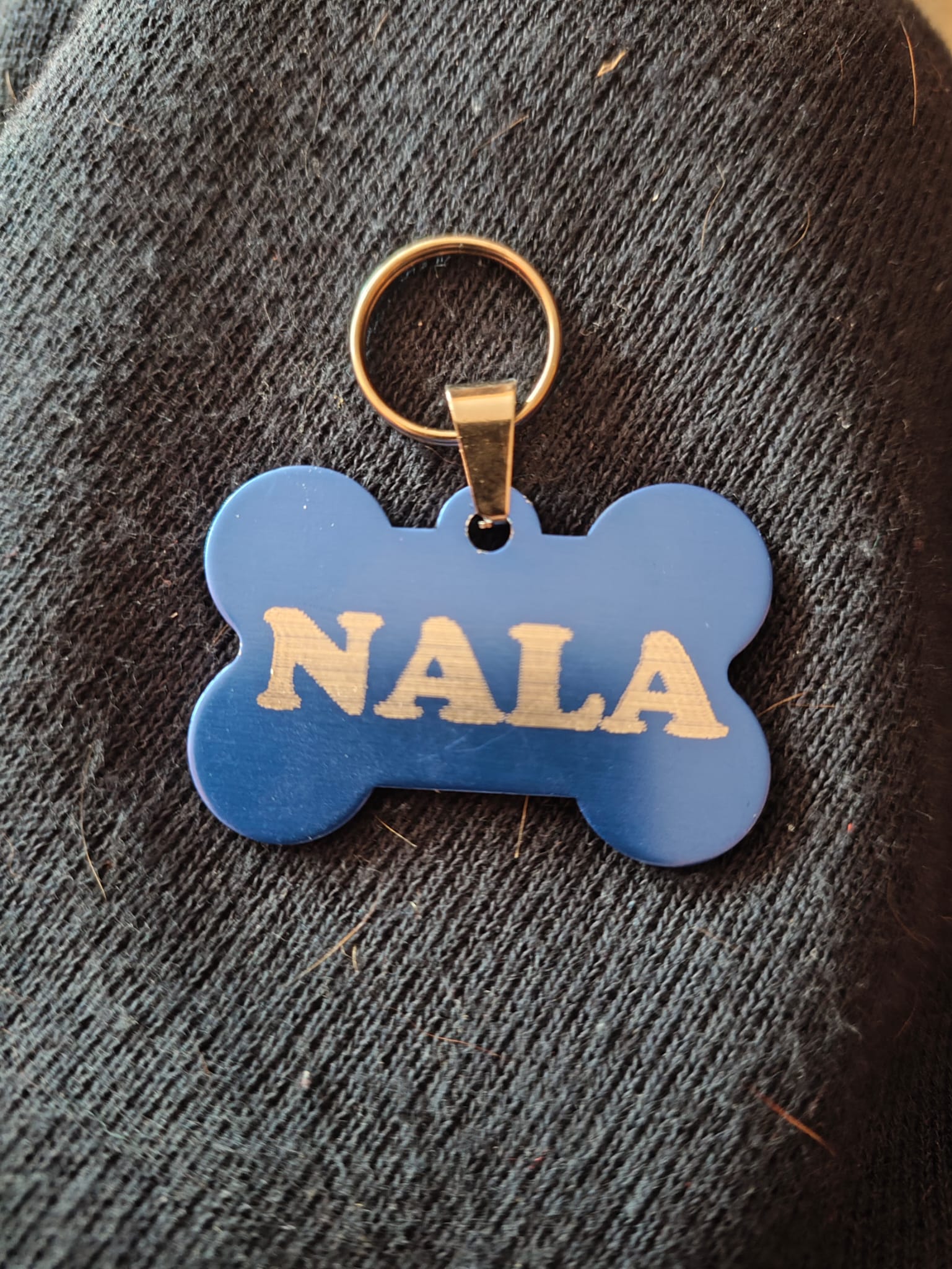 Fotografía de Chapa identificativa para tu mascota